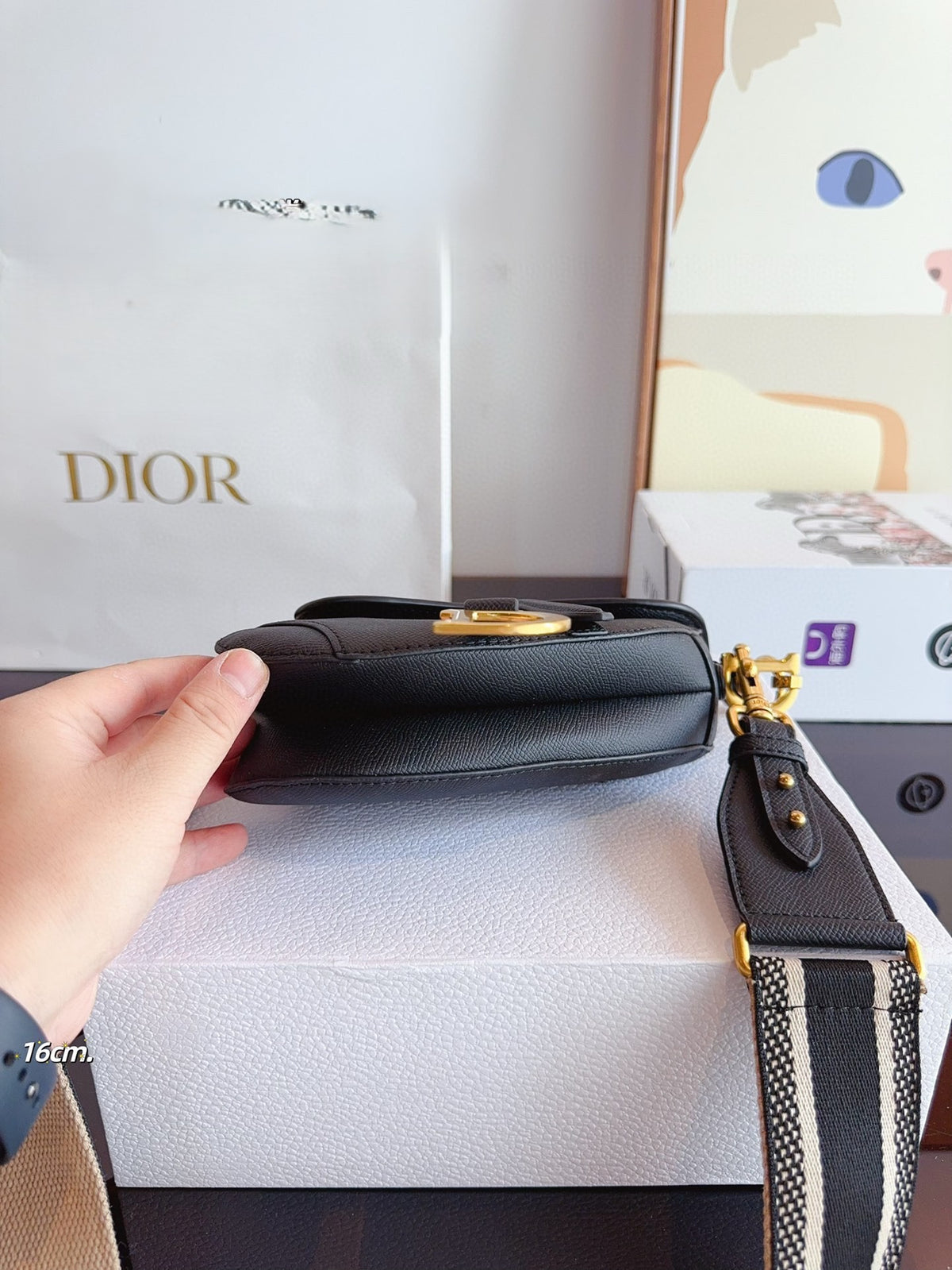 Dior Mini Saddle Bag con asa