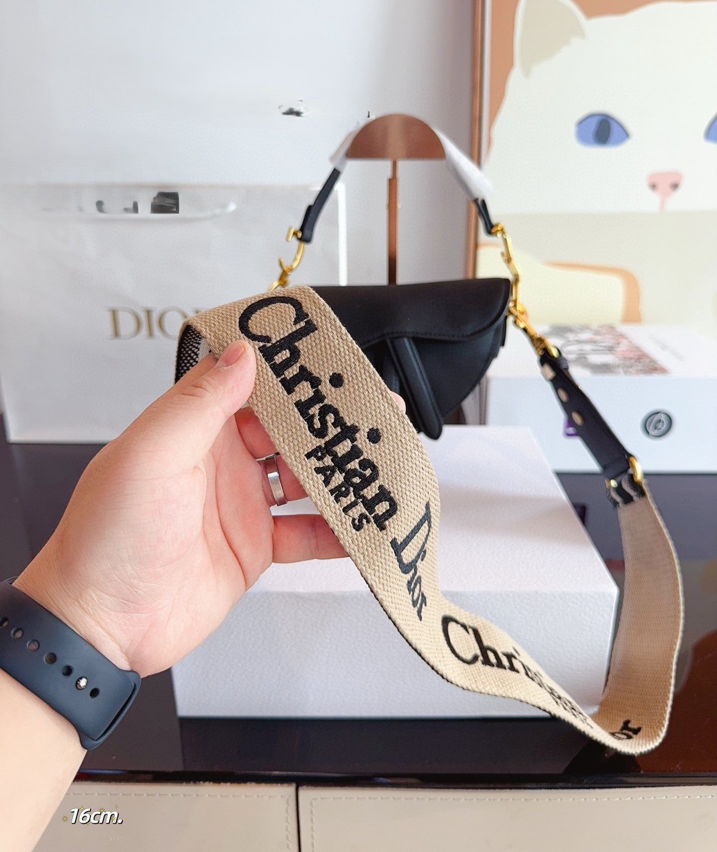 Dior Mini Saddle Bag con asa
