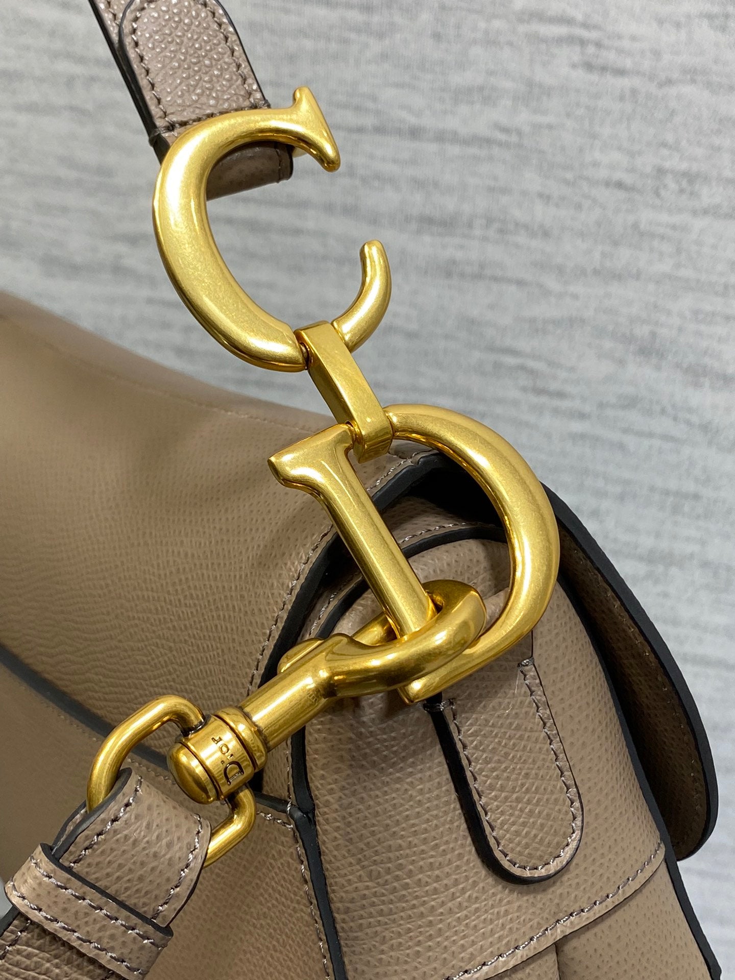 Dior Saddle Bag con Correa