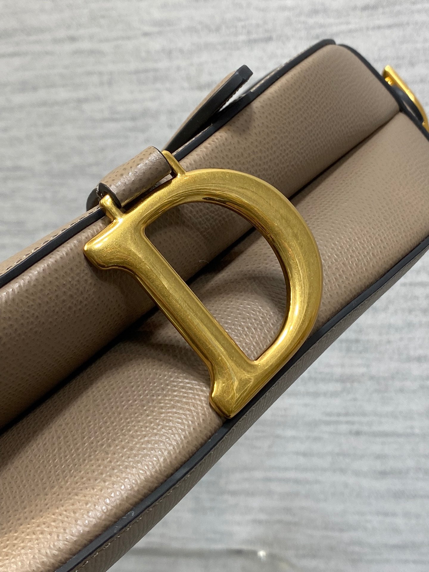 Dior Saddle Bag con Correa
