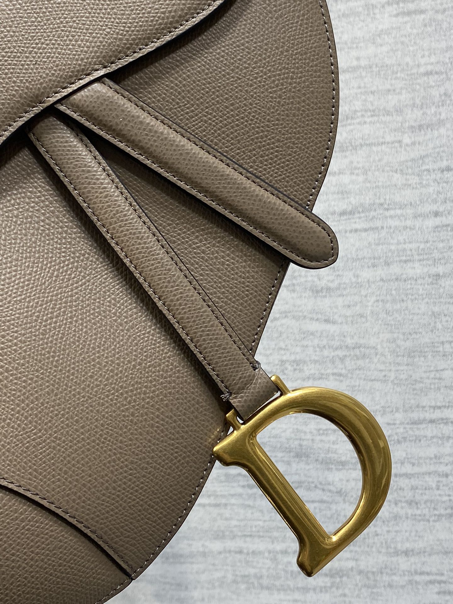 Dior Saddle Bag con Correa