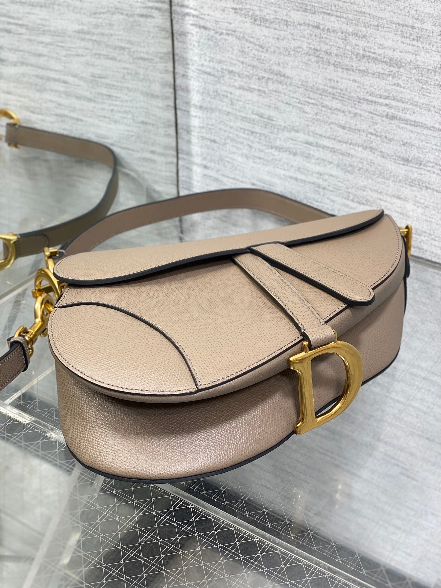 Dior Saddle Bag con Correa