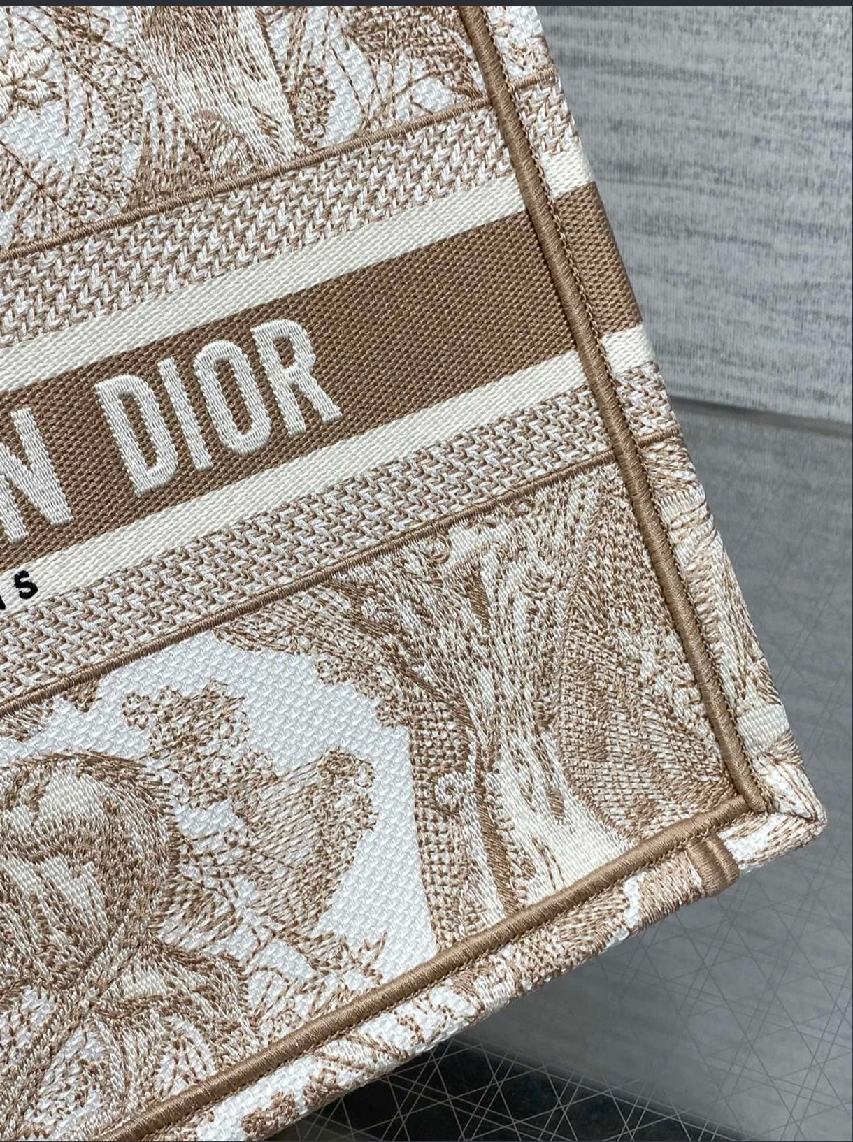 Dior Small Book Tote