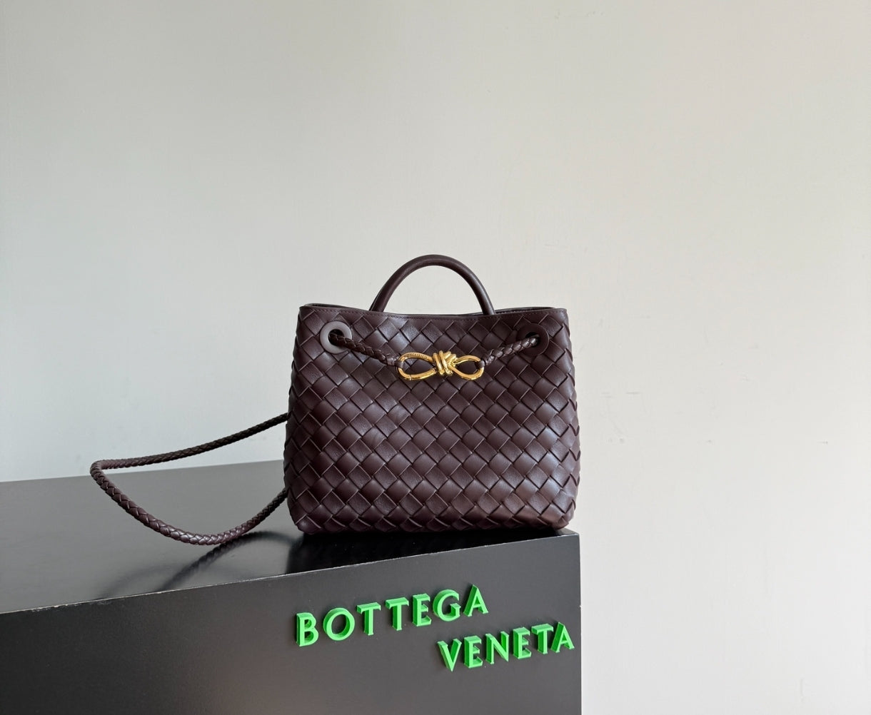 Bottega Veneta Andiamo Small