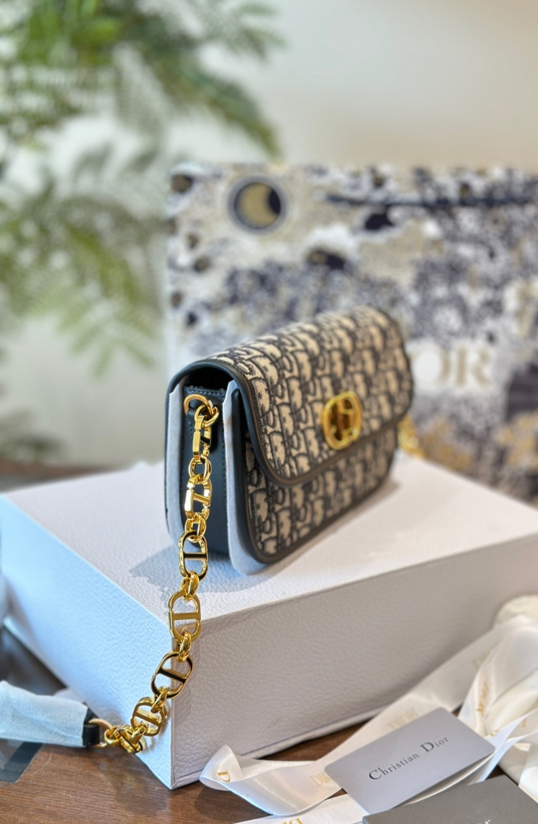 DIOR 30 MONTAIGNE CHAIN BAG – BLUE DIOR OBLIQUE