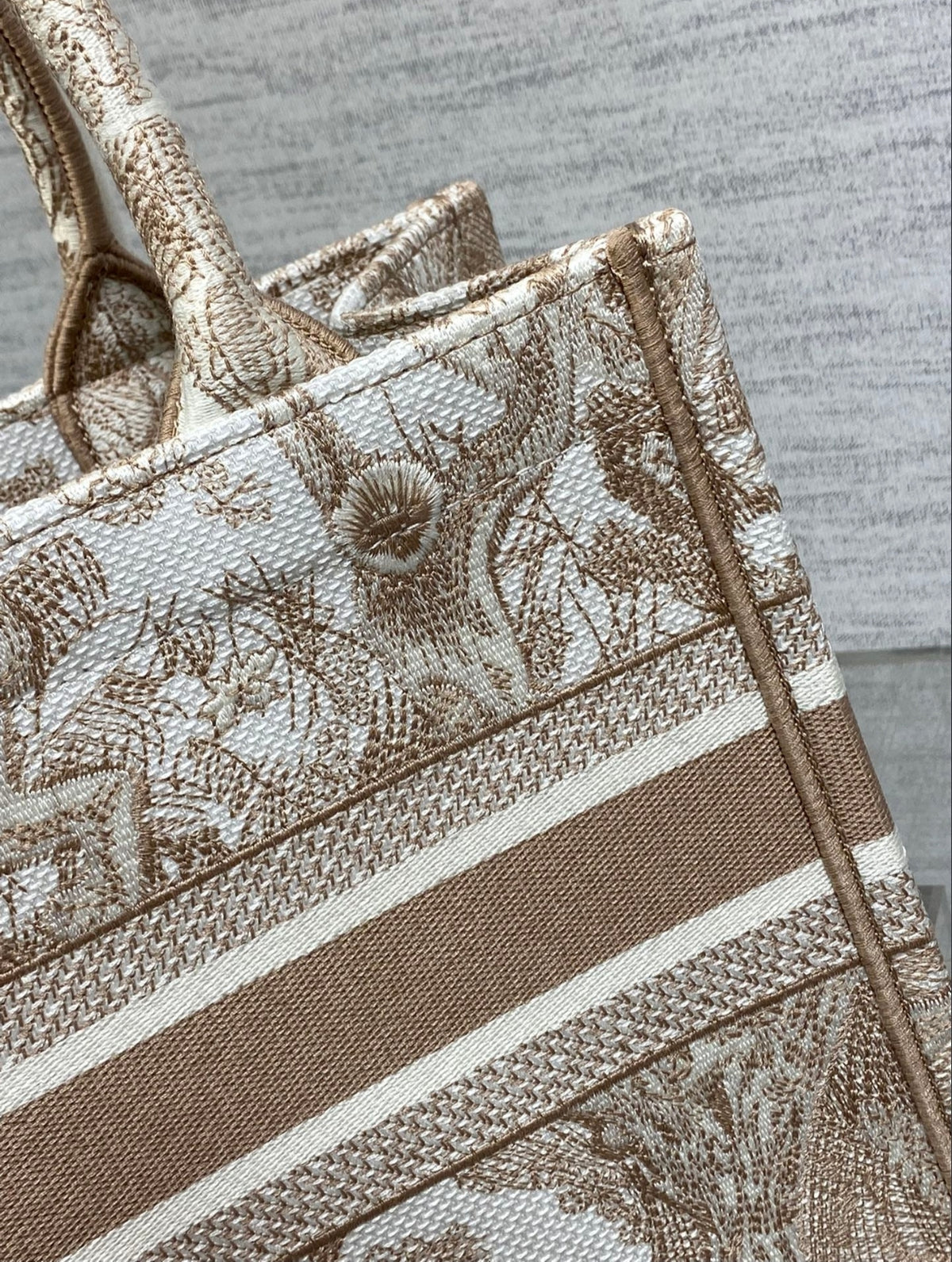 Dior Small Book Tote