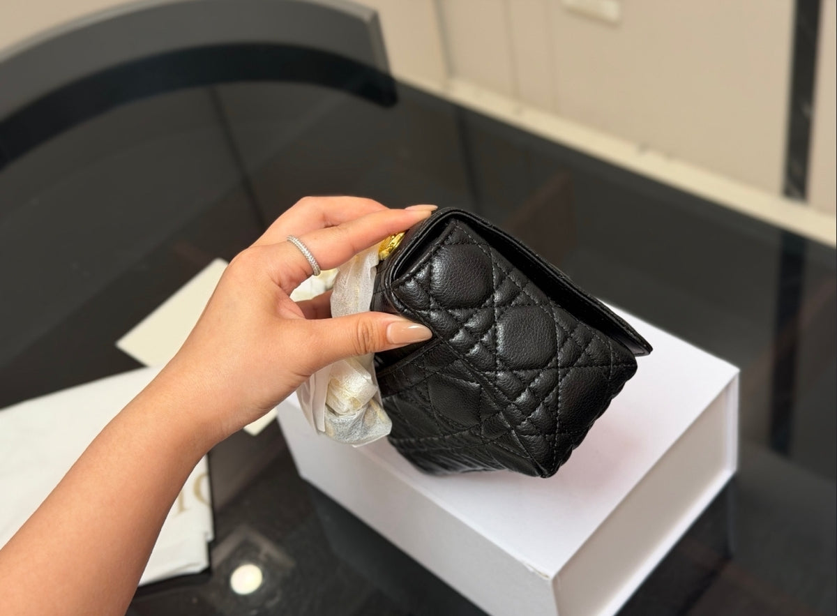 Dior Caro Small Bag