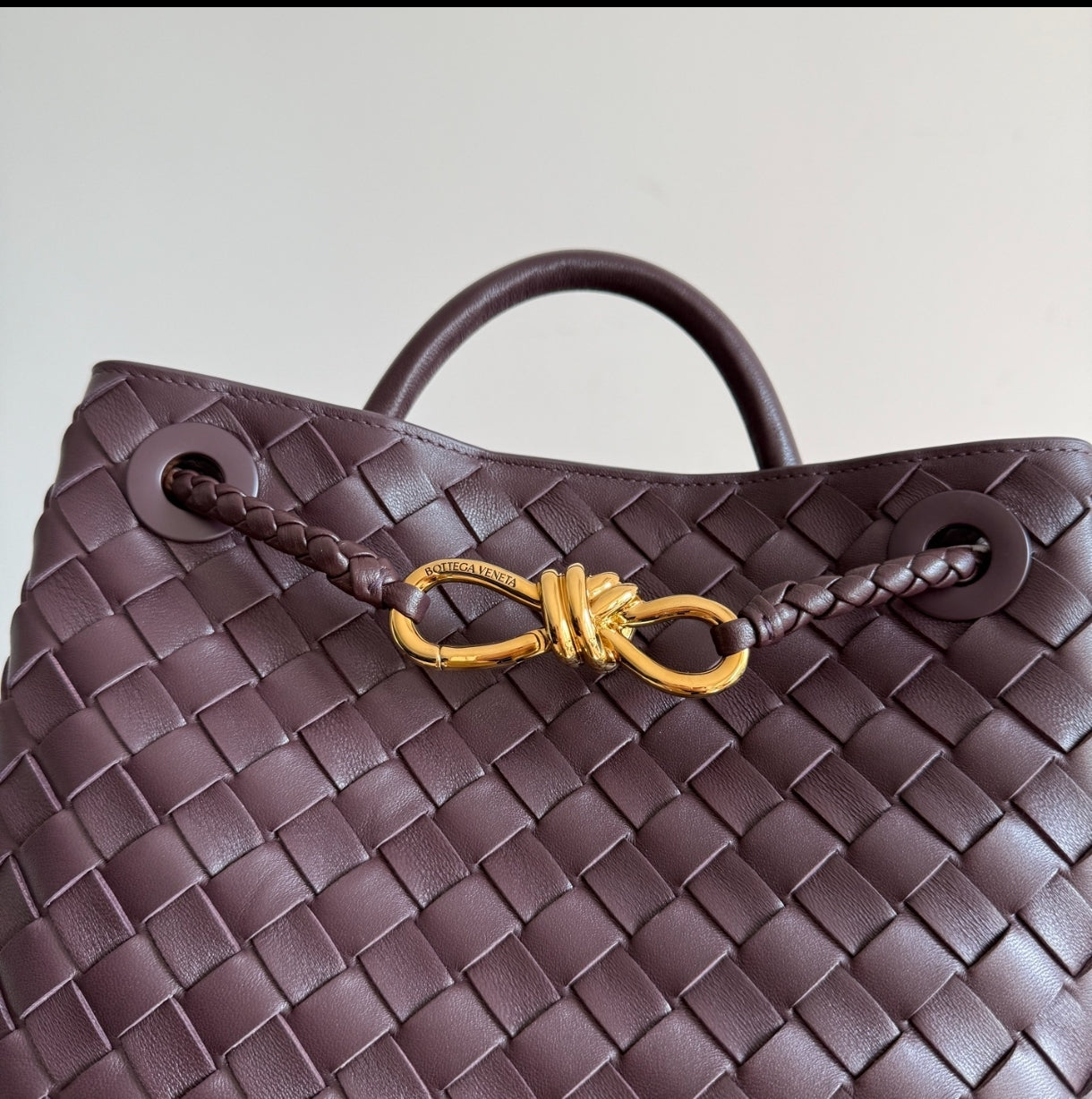 Bottega Veneta Andiamo Small