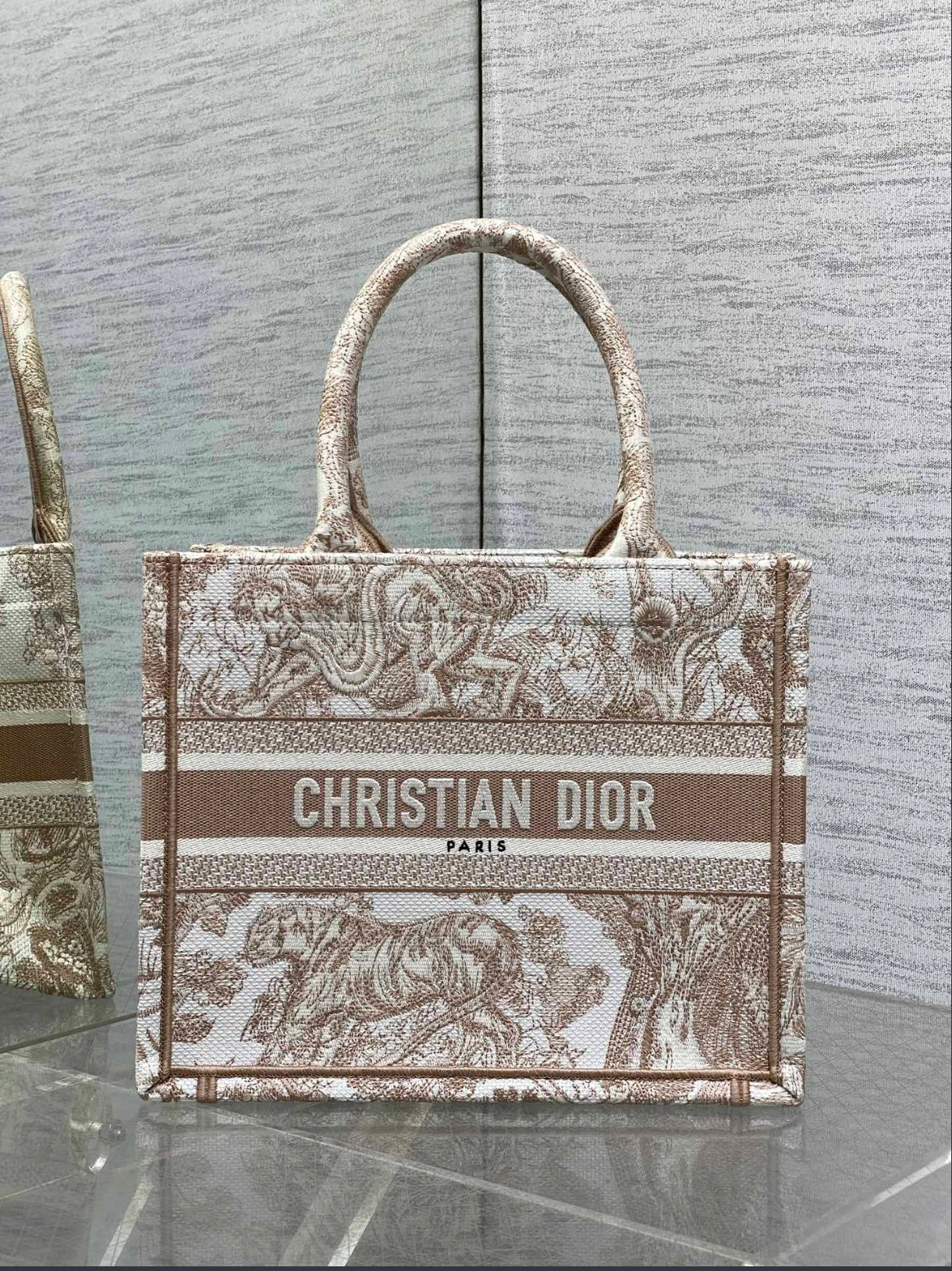 Dior Small Book Tote